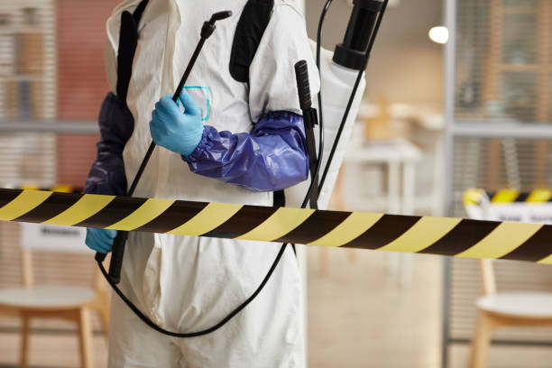Professional Sewage Cleanup technician working in Dunbar, NE